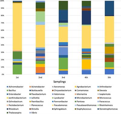 Temporal Evolution of Bacterial Endophytes Associated to the Roots of Phragmites australis Exploited in Phytodepuration of Wastewater